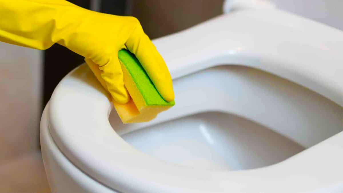 Pas de citron ni bicarbonate: la méthode infaillible pour éliminer l'urine et faire disparaître les odeurs des toilette