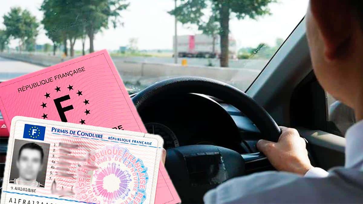 Permis de conduire rose : ne ratez pas la nouvelle date limite pour le remplacer, après ce sera trop tard