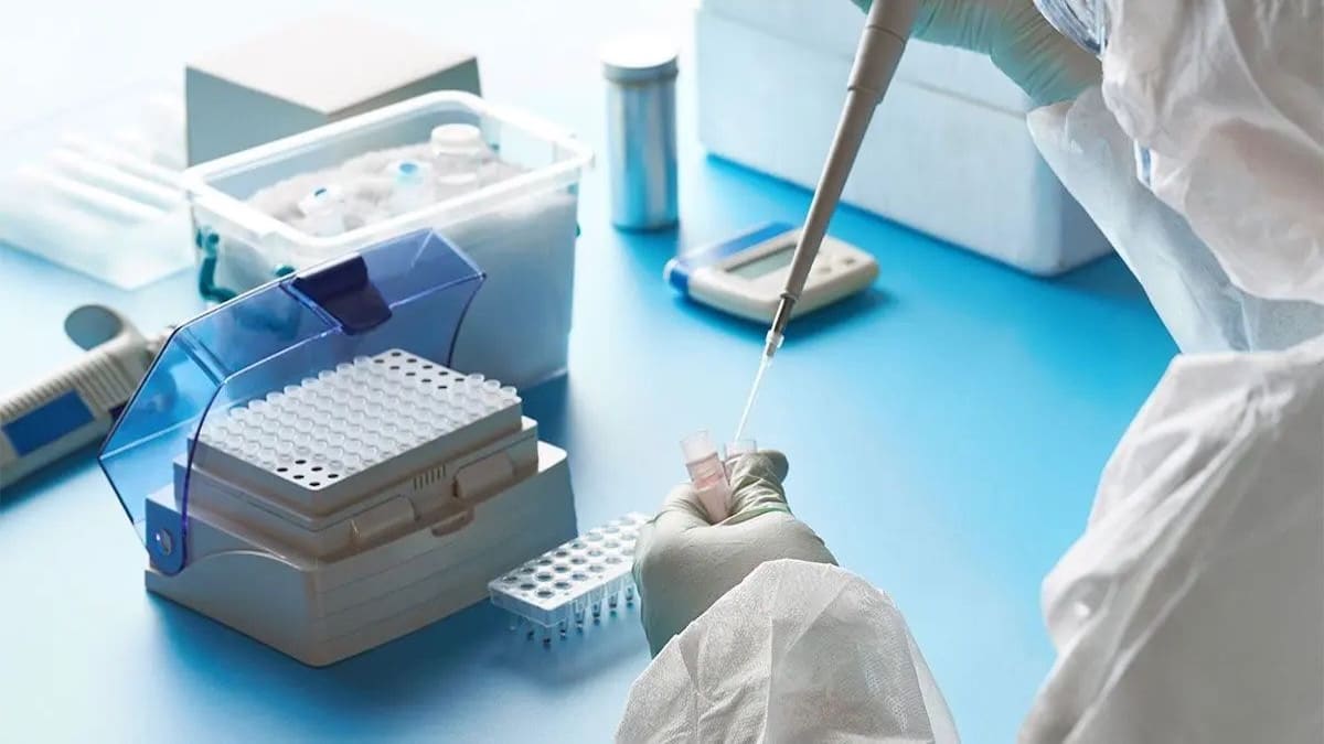 COVID-19 : Une étude met en lumière des effets immunologiques inattendus