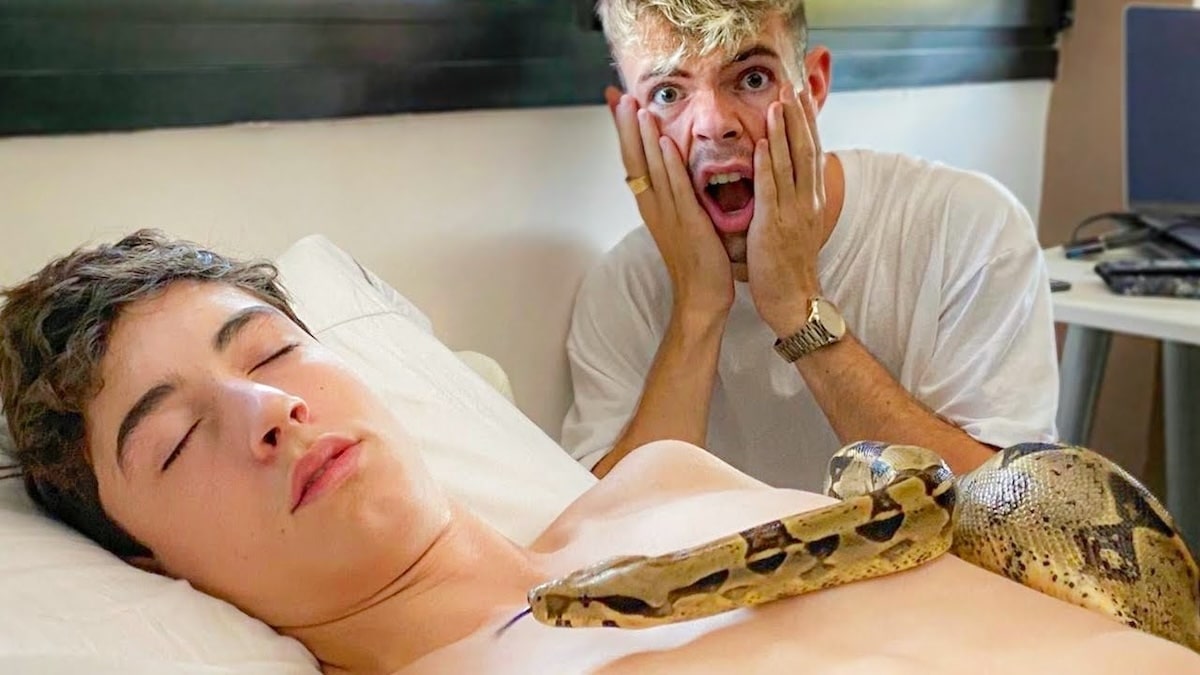 Un homme gardait un python comme animal de compagnie, mais la situation a pris une tournure inquiétante : découvrez son histoire