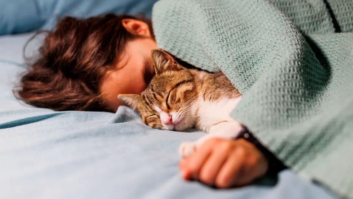 Dormir avec des chats : le risque de santé le plus grave à connaître