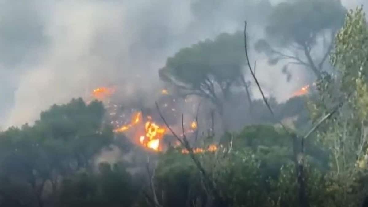Incendie près de Marseille : l’aéroport fermé et la ville envahie par la fumée