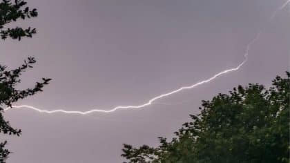 Victimes de la foudre dans un parc : le danger invisible des orages